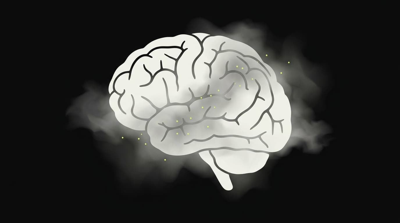 Brain Fog : définition, causes et symptômes (2026)